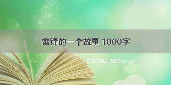 雷锋的一个故事 1000字