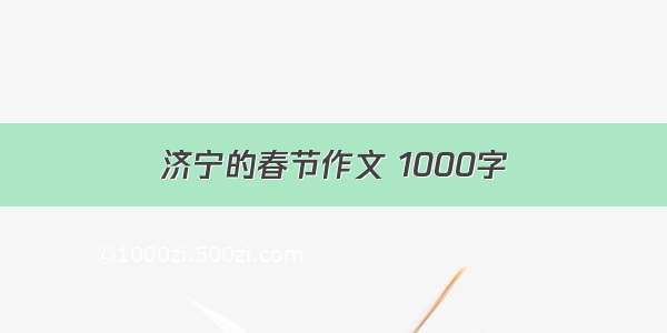 济宁的春节作文 1000字