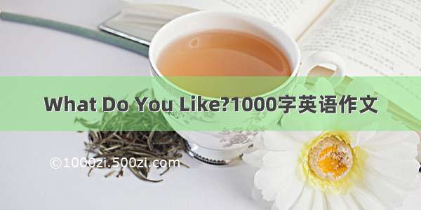 What Do You Like?1000字英语作文