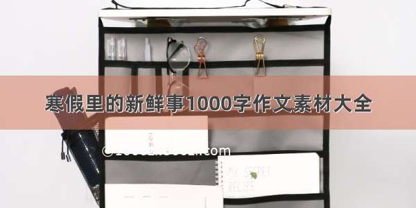 寒假里的新鲜事1000字作文素材大全