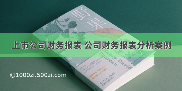 上市公司财务报表 公司财务报表分析案例