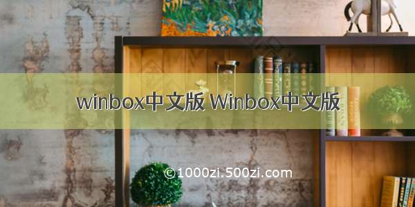 winbox中文版 Winbox中文版