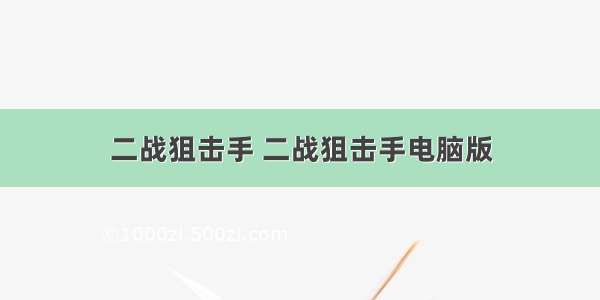 二战狙击手 二战狙击手电脑版