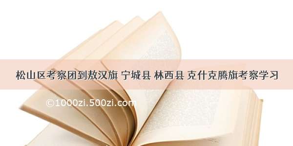 松山区考察团到敖汉旗 宁城县 林西县 克什克腾旗考察学习