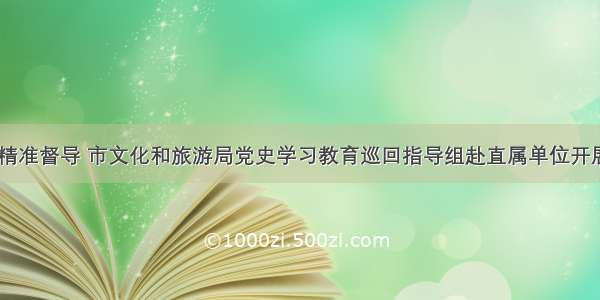 从严从实 精准督导 市文化和旅游局党史学习教育巡回指导组赴直属单位开展督导检查