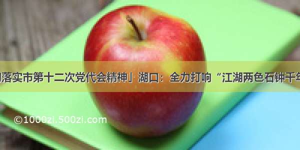 「学习贯彻落实市第十二次党代会精神」湖口：全力打响“江湖两色石钟千年”旅游品牌