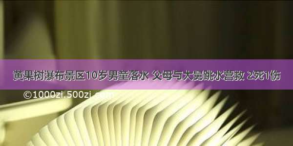 黄果树瀑布景区10岁男童落水 父母与大舅跳水营救 2死1伤