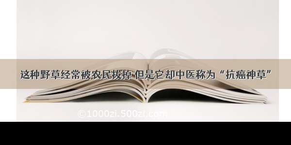 这种野草经常被农民拔掉 但是它却中医称为“抗癌神草”