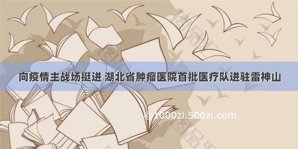 向疫情主战场挺进 湖北省肿瘤医院首批医疗队进驻雷神山