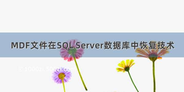 MDF文件在SQL Server数据库中恢复技术