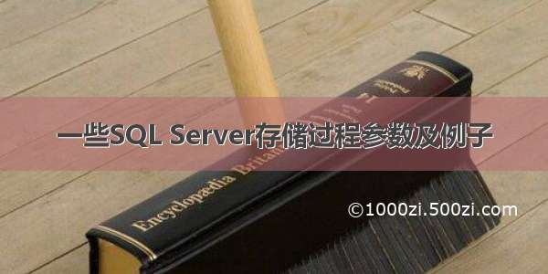 一些SQL Server存储过程参数及例子