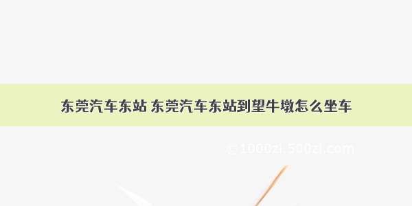 东莞汽车东站 东莞汽车东站到望牛墩怎么坐车