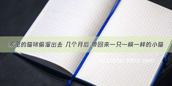 家里的猫咪偷溜出去 几个月后 带回来一只一模一样的小猫