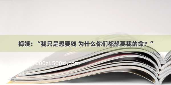 梅姨：“我只是想要钱 为什么你们都想要我的命？”