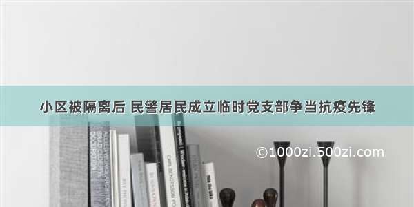 小区被隔离后 民警居民成立临时党支部争当抗疫先锋