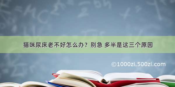 猫咪尿床老不好怎么办？别急 多半是这三个原因