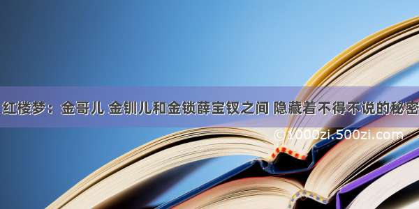 红楼梦：金哥儿 金钏儿和金锁薛宝钗之间 隐藏着不得不说的秘密