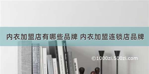 内衣加盟店有哪些品牌 内衣加盟连锁店品牌