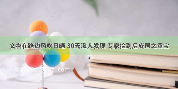 文物在路边风吹日晒 30天没人发现 专家捡到后成国之重宝