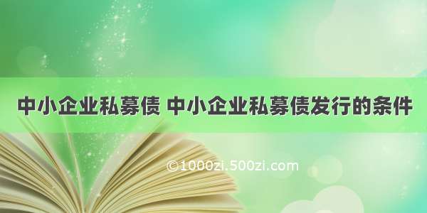 中小企业私募债 中小企业私募债发行的条件