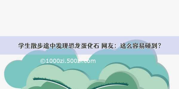 学生散步途中发现恐龙蛋化石 网友：这么容易碰到？