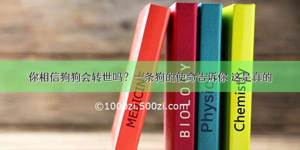 你相信狗狗会转世吗？一条狗的使命告诉你 这是真的