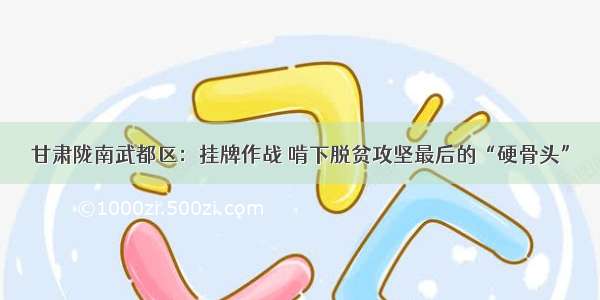 甘肃陇南武都区：挂牌作战 啃下脱贫攻坚最后的“硬骨头”