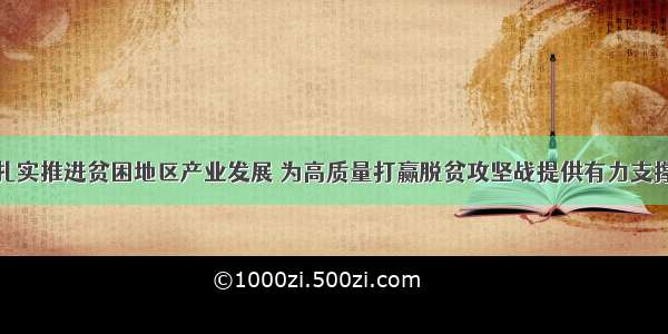 扎实推进贫困地区产业发展 为高质量打赢脱贫攻坚战提供有力支撑