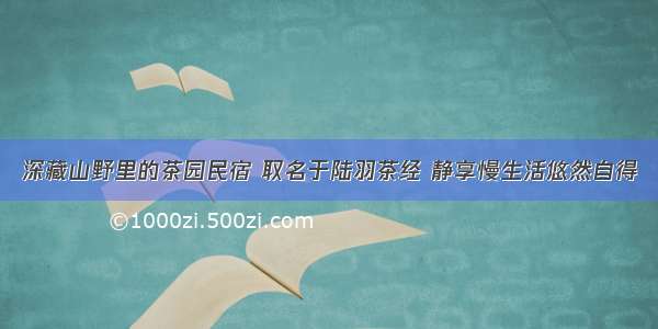 深藏山野里的茶园民宿 取名于陆羽茶经 静享慢生活悠然自得