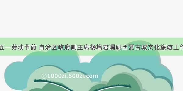 五一劳动节前 自治区政府副主席杨培君调研西夏古城文化旅游工作