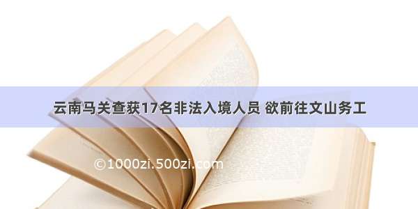 云南马关查获17名非法入境人员 欲前往文山务工