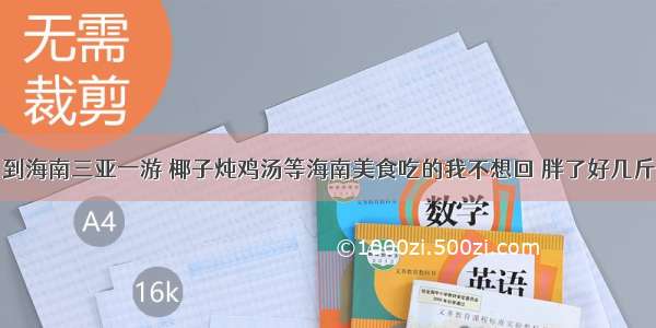 到海南三亚一游 椰子炖鸡汤等海南美食吃的我不想回 胖了好几斤