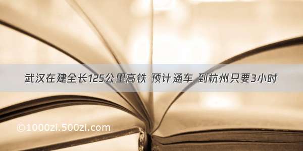 武汉在建全长125公里高铁 预计通车 到杭州只要3小时