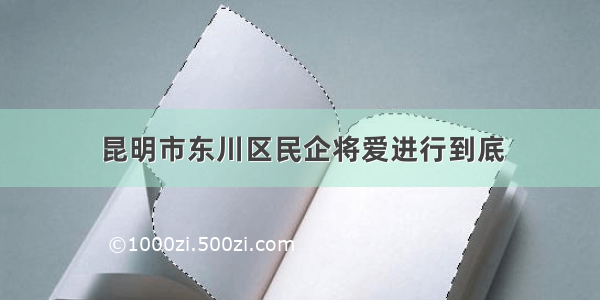 昆明市东川区民企将爱进行到底