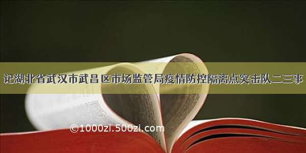 记湖北省武汉市武昌区市场监管局疫情防控隔离点突击队二三事