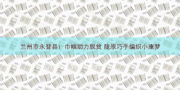 兰州市永登县：巾帼助力脱贫 陇原巧手编织小康梦