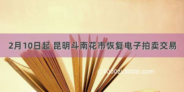 2月10日起 昆明斗南花市恢复电子拍卖交易