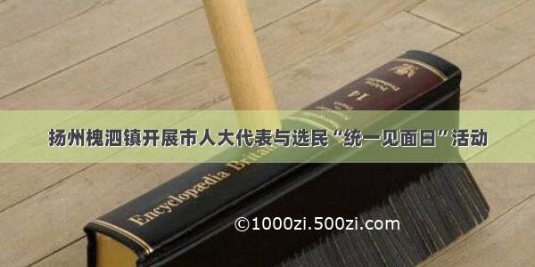 扬州槐泗镇开展市人大代表与选民“统一见面日”活动