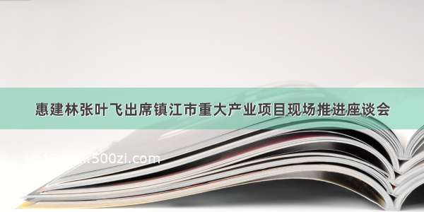 惠建林张叶飞出席镇江市重大产业项目现场推进座谈会