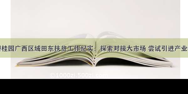 碧桂园广西区域田东扶贫工作纪实：探索对接大市场 尝试引进产业链