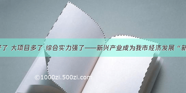 生态好了 大项目多了 综合实力强了——新兴产业成为我市经济发展“新引擎”