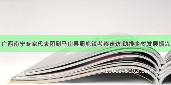 广西南宁专家代表团到马山县周鹿镇考察走访 助推乡村发展振兴