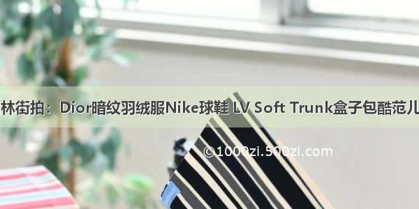 邢昭林街拍：Dior暗纹羽绒服Nike球鞋 LV Soft Trunk盒子包酷范儿潮男