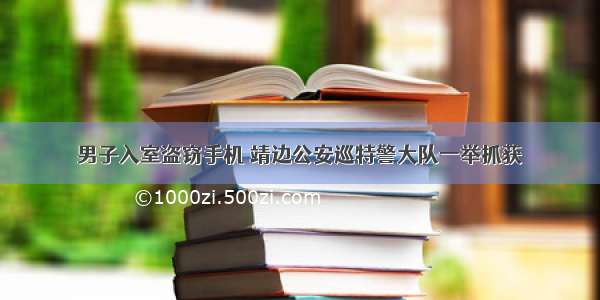 男子入室盗窃手机 靖边公安巡特警大队一举抓获