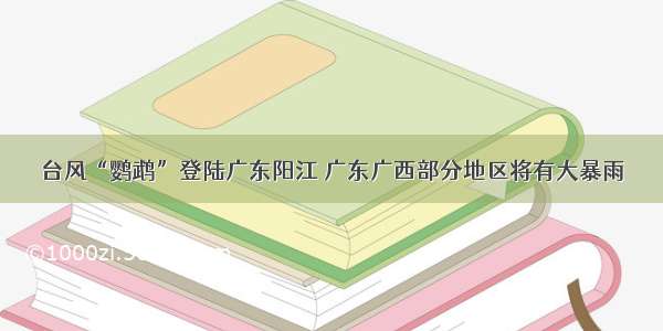 台风“鹦鹉”登陆广东阳江 广东广西部分地区将有大暴雨