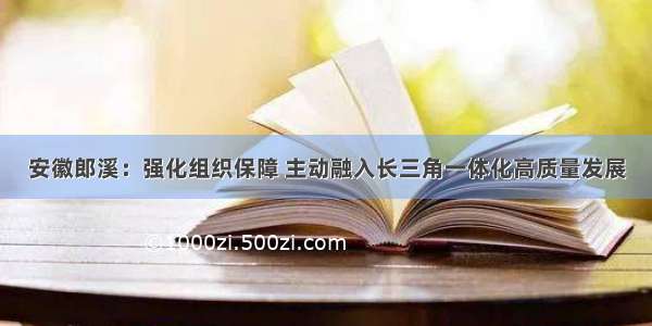 安徽郎溪：强化组织保障 主动融入长三角一体化高质量发展