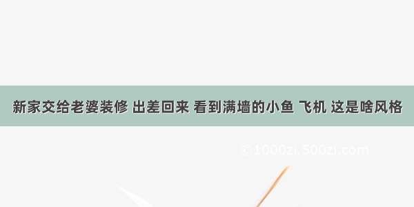 新家交给老婆装修 出差回来 看到满墙的小鱼 飞机 这是啥风格