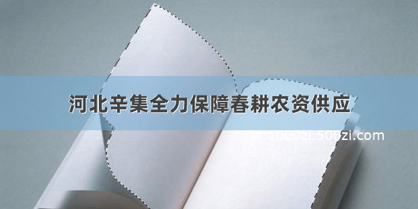 河北辛集全力保障春耕农资供应