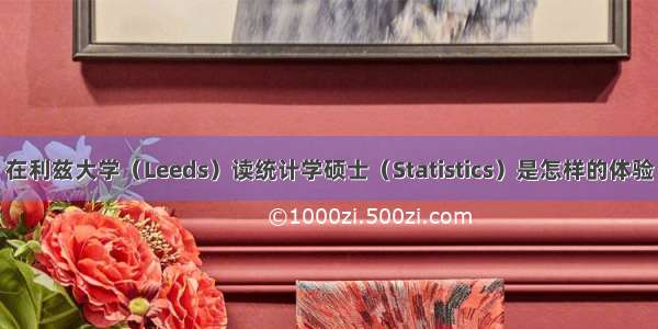 在利兹大学（Leeds）读统计学硕士（Statistics）是怎样的体验