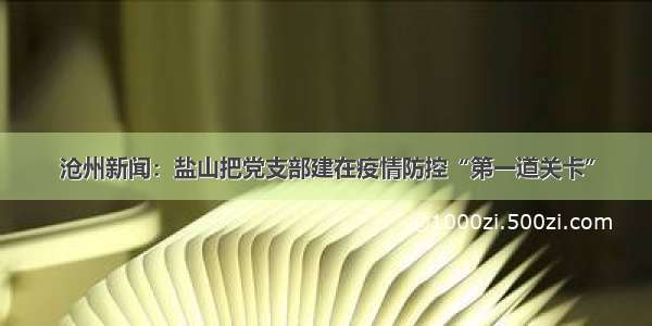 沧州新闻：盐山把党支部建在疫情防控“第一道关卡”
